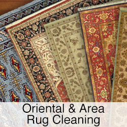 oriental and area rug cleaning