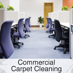commercial carpet cleaning button